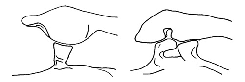  KmAsKdwesI