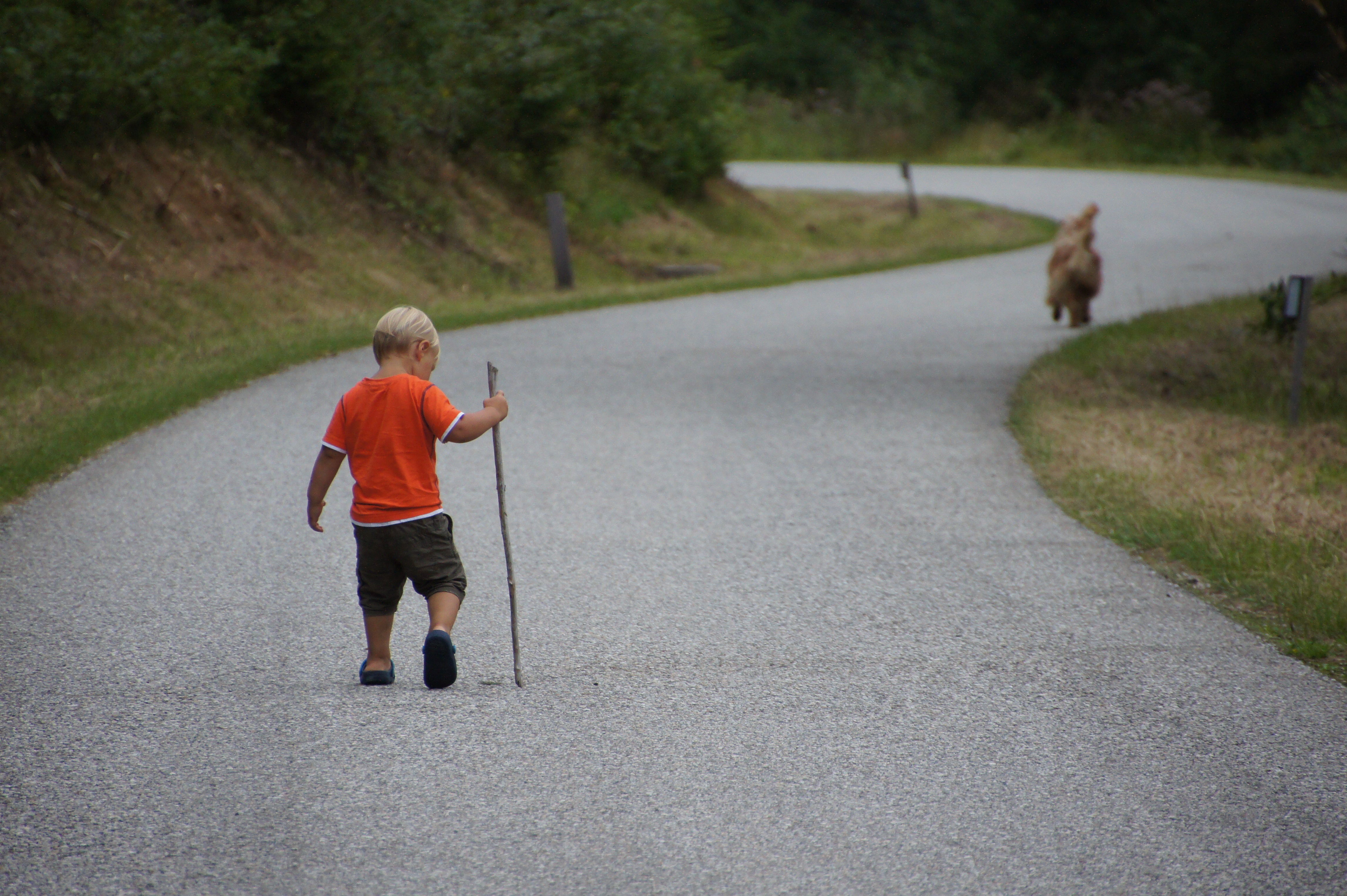 landscape nature walking road dog asphalt recreation child sports equipment longboard road surface outdoor recreation 1234994