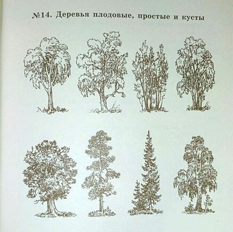 1 класс. Уроки № 33, 34 по Первой после Азбуки книге для чтения