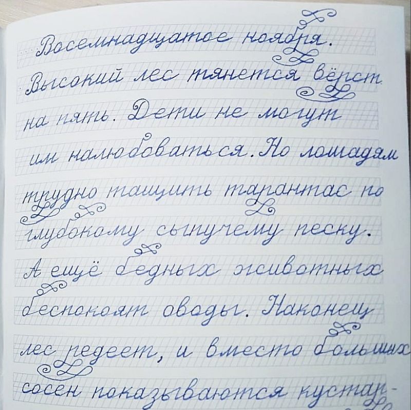 4 класс. Редактирование рассказа «Поездка из столицы в деревню»