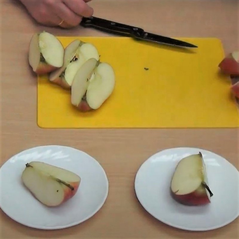 5 класс. Получение дроби при делении нескольких целых на равные части